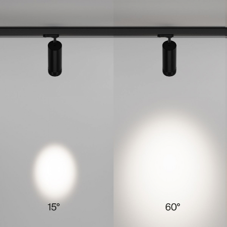 Maytoni TR198-3-20W4K-Z-B