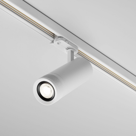 Maytoni TR198-3-20W4K-Z-W