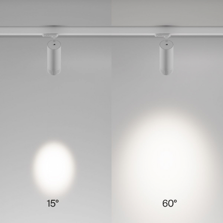 Maytoni TR198-3-20W4K-Z-W