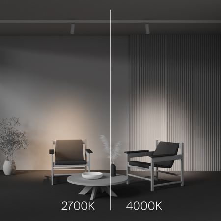 Maytoni TR198-3-20W4K-Z-W