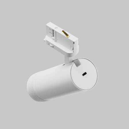 Maytoni TR198-3-20W4K-Z-W