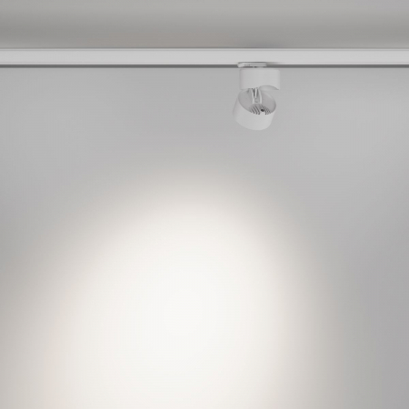 Maytoni TR199-3-15W4K-M-W