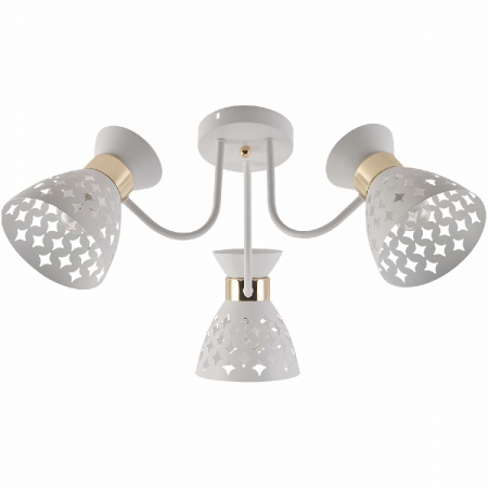 Reluce 01579-3.3-03 WH+FGD