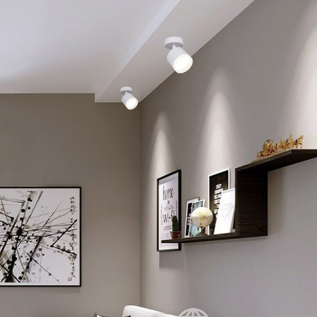 Reluce 53004-9.5-001IL SPOT LIGHT GX53 WT