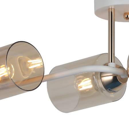 Illumico IL8148-6COU-79 WH GD Bice