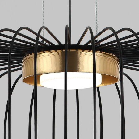 IMEX MD.23105-1-P-BK+BR