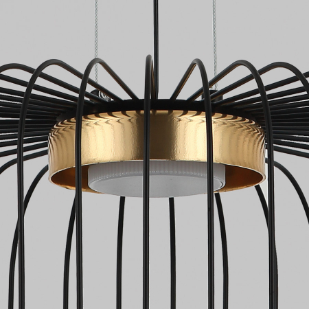 IMEX MD.23105-1-P-BK+BR