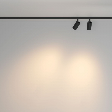 Maytoni TR176-1-2X5WTW-M-B