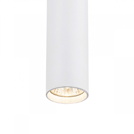 Escada 20001TRP/01 SWH