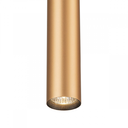 Escada 20001TRP/01 BR