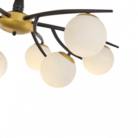 Arte Milano 273408/9 BK/GD