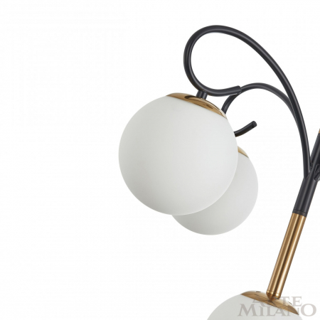 Arte Milano 273808/4+1 BK/GD