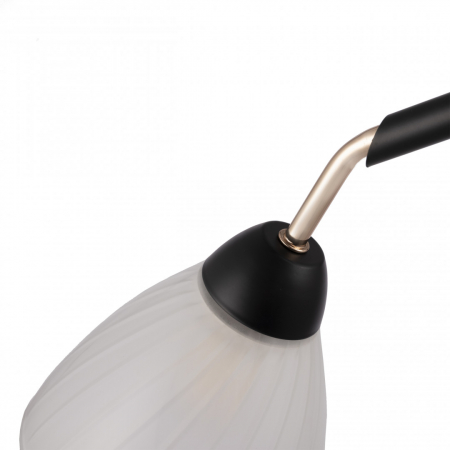 Arte Milano 324108/3 BK+FG