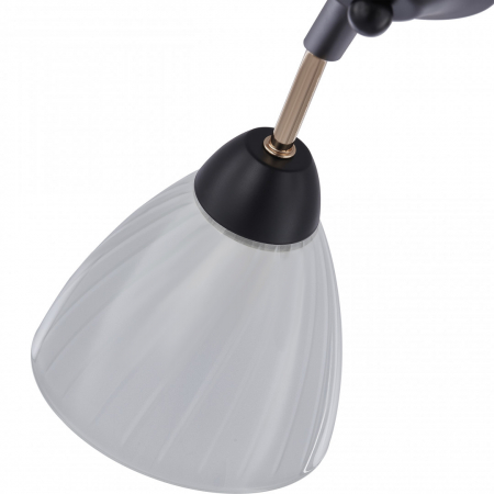 Arte Milano 324108/5 BK+FG