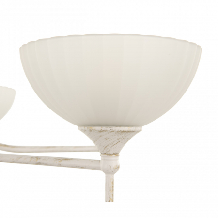 Arte Milano 340049/6 WT+G