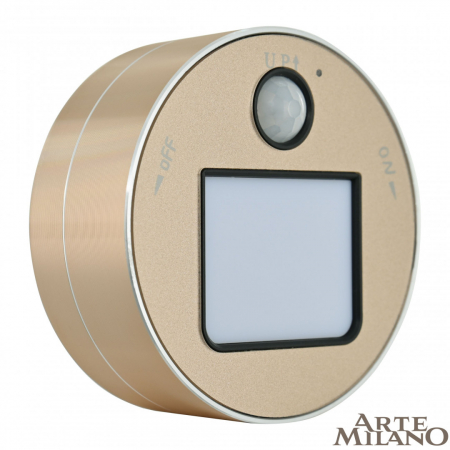 Arte Milano 380011TLS/LWS Gold