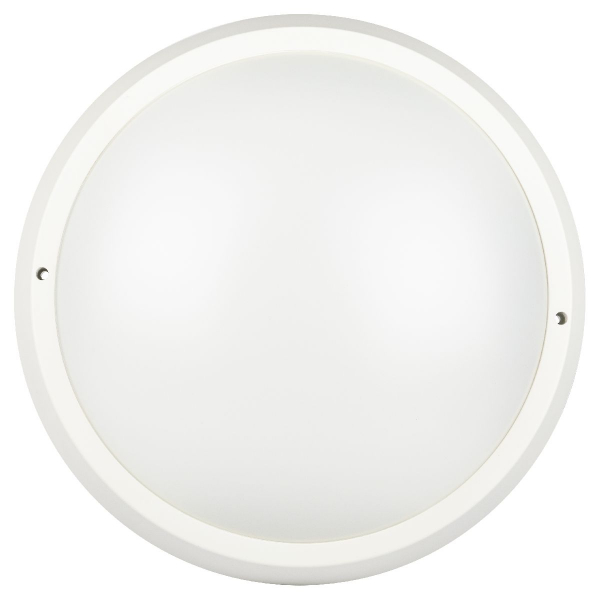 Настенно-потолочный светильник Эра SPB-203-0-40К-024 Б0062728