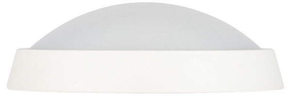 Настенно-потолочный светильник Эра SPB-203-0-40К-024 Б0062728