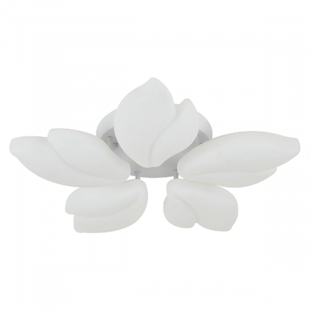 Natali Kovaltseva LED LAMPS 81116