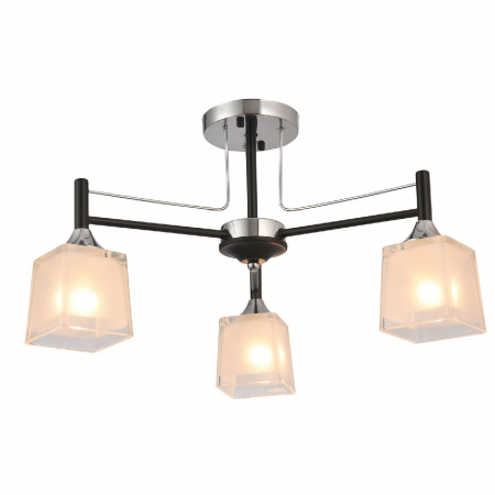 Natali Kovaltseva 81454/3C