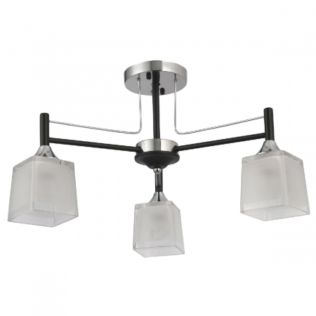 Natali Kovaltseva 81454/3C