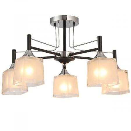 Natali Kovaltseva 81454/5C