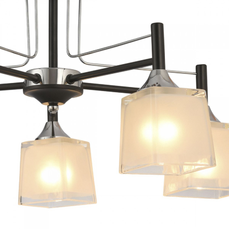 Natali Kovaltseva 81454/5C