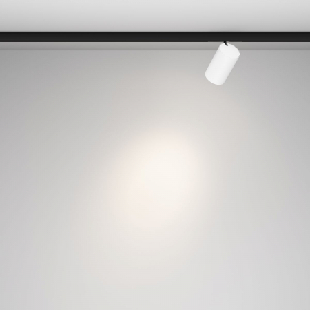 Maytoni TR187-1-9W4K-M-BW