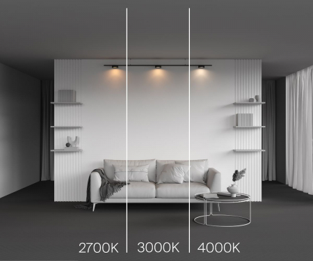 Maytoni TR189-1-12W4K-B