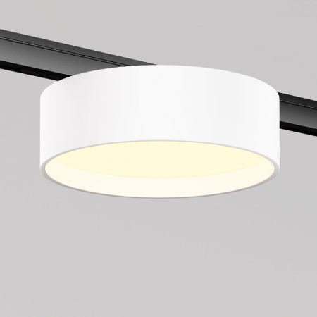 Maytoni TR189-1-12W3K-BW