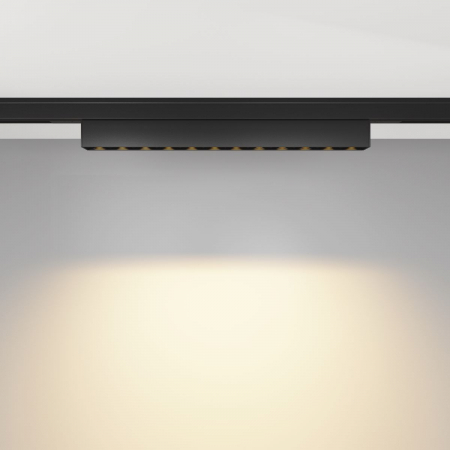 Maytoni TR193-1-10W2.7K-M-B