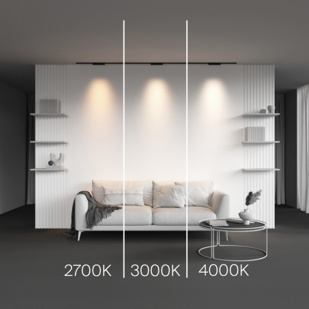 Maytoni TR193-1-10W4K-M-B