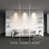 Maytoni TR193-1-10W4K-M-B