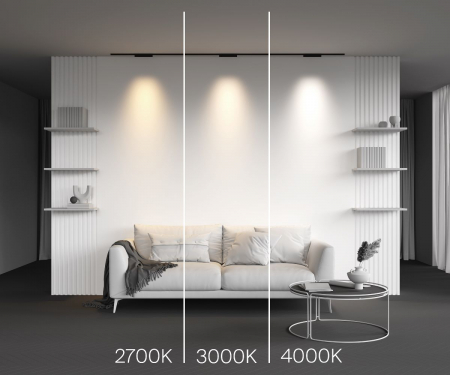 Maytoni TR193-1-10W4K-M-B