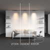 Maytoni TR193-1-15W2.7K-M-B