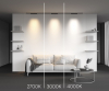 Maytoni TR193-1-15W2.7K-M-B