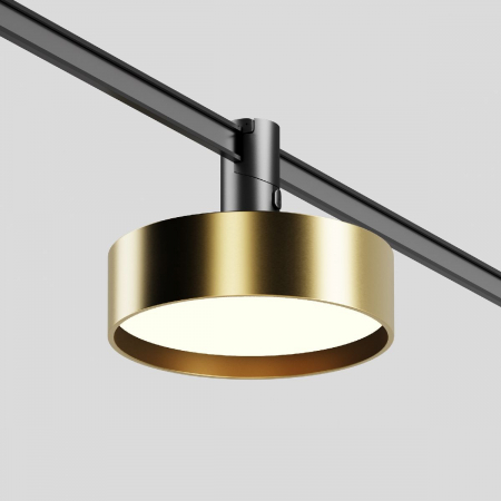 Maytoni TR204-1-12W3K-BBS