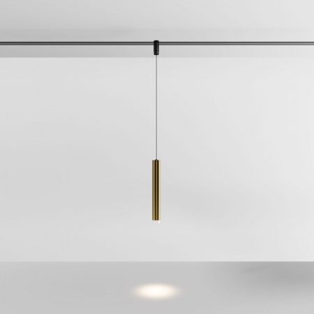 Maytoni TR210-1-5W3K-M-BBS