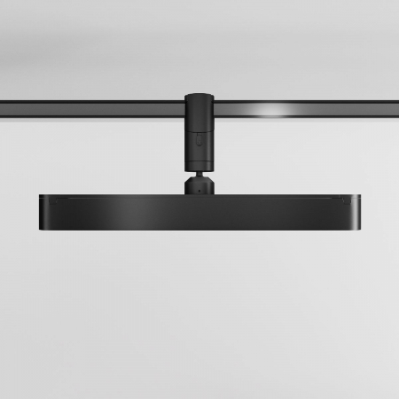 Maytoni TR202-1-10W3K-B