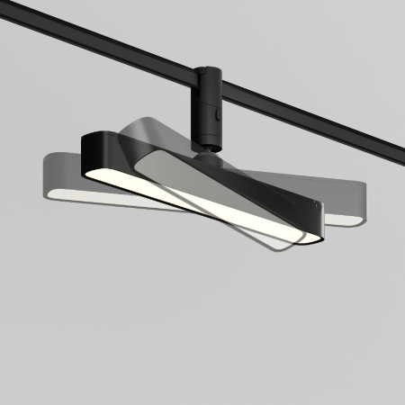 Maytoni TR202-1-10W3K-B