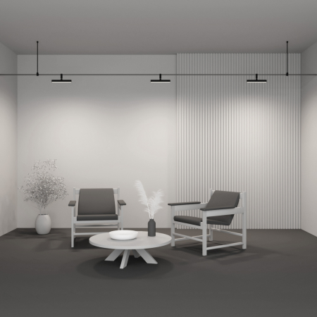 Maytoni TR202-1-10W3K-B