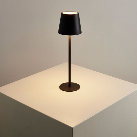 Arte Lamp A1614LT-1BK