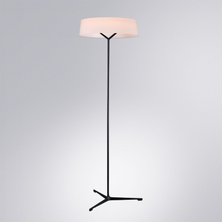 Divinare 1029/06 PN-11