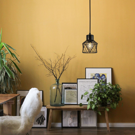 Escada 10174/1S Black