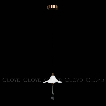 Cloyd 11468