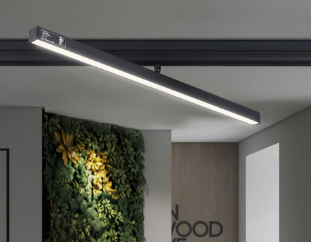 Ambrella Light GL4206