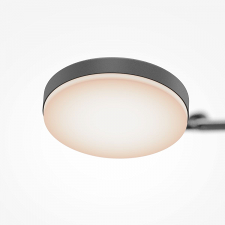 Maytoni MOD070CL-L15B3K1