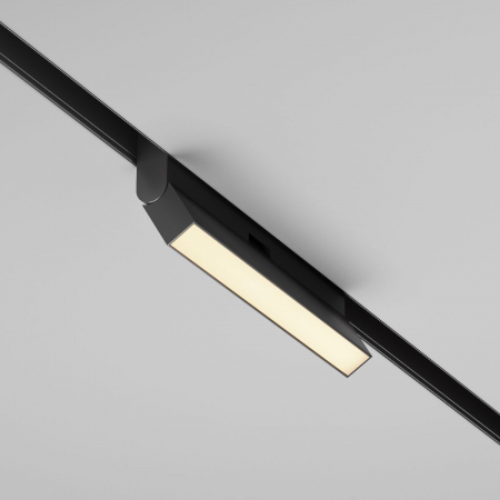 Maytoni TR036-2-12W2.7K-B