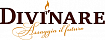 Логотип Divinare