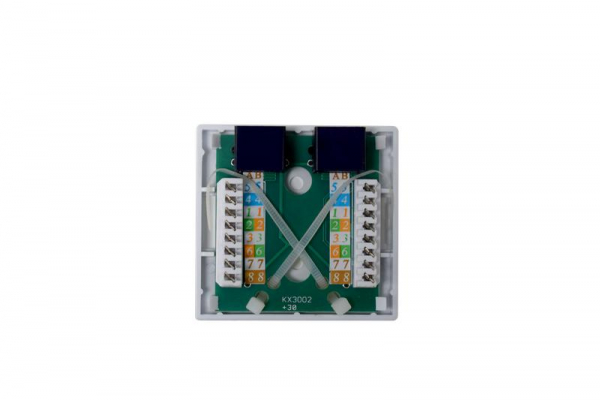 Розетка компьютерная 8P8C (RJ45) UTP кат.5E 2 порта TOKOV ELECTRIC TKE-SMB-8P8C-2P-UTP